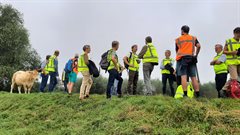 Amerongse Bovenpolder