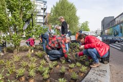 Meer groen in de stad