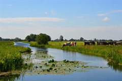 krimpenerwaard-e1545490447468