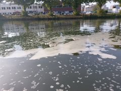 verontreiniging merwedekanaal 2 okt 23
