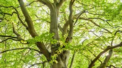 pexels-umkreisel-app-1459495