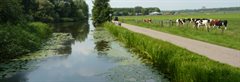 Naamloos (44)