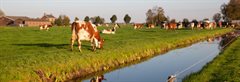Naamloos (76)