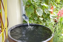 afgekoppelde regenpijp