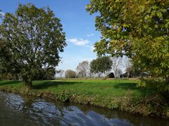 Bomen op de noordoever van de Gekanaliseerde Hollandsche IJssel (GHIJ)